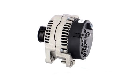 GENERATOR / ALTERNATOR REMANTE 011003000102R 19