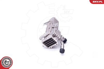 RADIATOR RECIRCULARE GAZE DE ESAPAMENT