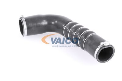 FURTUN EAR SUPRAALIMENTARE VAICO V103794 19
