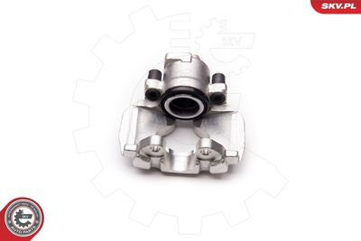 Brake Caliper 34SKV231