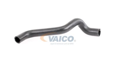 KüHLERSCHLAUCH VAICO V240868 57