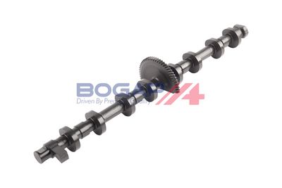 ARBORE EXCENTRIC REGLAREA ARBORELUI CU CAME BOGAP B1350112 1