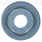 DICHTRING VENTILSCHAFT