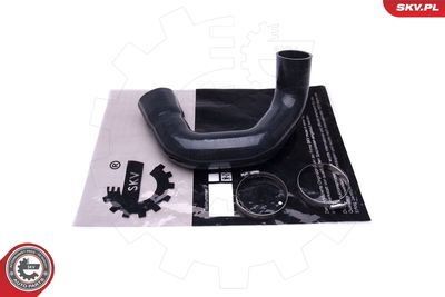 FURTUN EAR SUPRAALIMENTARE