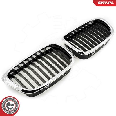 GRILA RADIATOR ESEN SKV 66SKV160 4