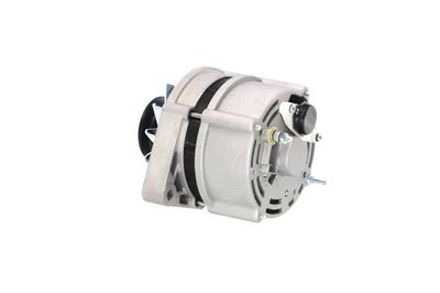 GENERATOR / ALTERNATOR REMANTE 011003000025R 22