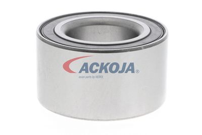 SET RULMENT ROATA ACKOJA A320020 51