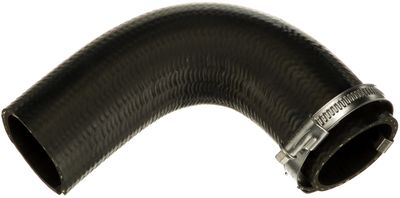 FURTUN EAR SUPRAALIMENTARE