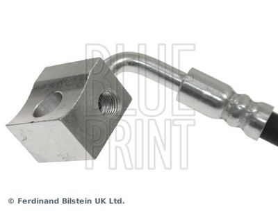 FURTUN FRANA BLUE PRINT ADA105328 1