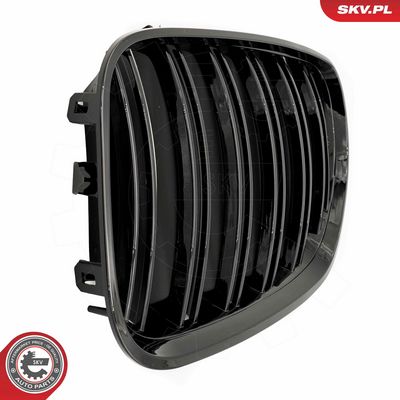GRILA RADIATOR ESEN SKV 66SKV281 4