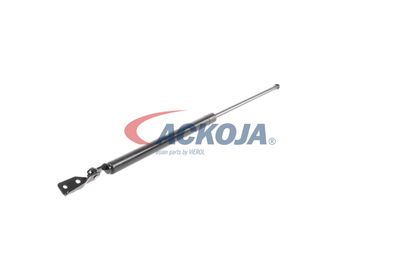 AMORTIZOR PORTBAGAJ ACKOJA A320075 54