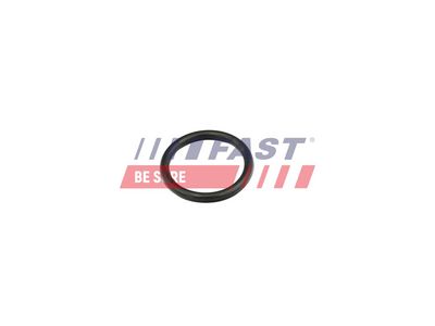 Těsnění, příruba chladiva FAST FT49856