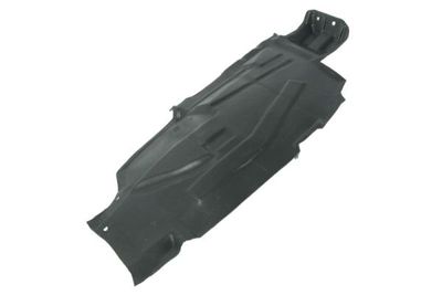 Plastic spatbordbekleding Voor Rechts (Voor, termoformowane próżniowo) past: NISSAN MURANO I Z50 08.03-09.08