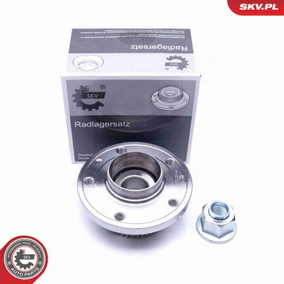 SET RULMENT ROATA ESEN SKV 29SKV198