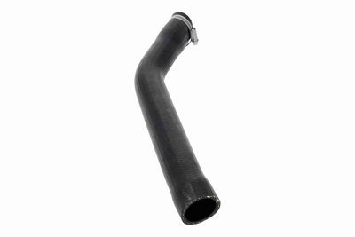 FURTUN EAR SUPRAALIMENTARE VAICO V241595 5