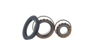 RADLAGERSATZ SKF VKBA530 20