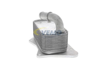 RADIATOR ULEI ULEI MOTOR VEMO V40602099 22