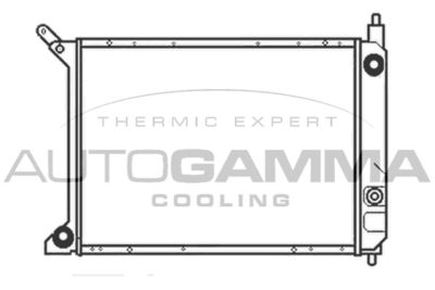 Радиатор, охлаждение двигателя AUTOGAMMA 103181 для ROVER 800
