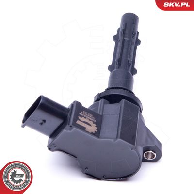 ritė, uždegimas 03SKV255 ESEN SKV