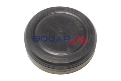 CHIT LANT DE DISTRIBUTIE BOGAP C1328119 3