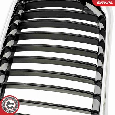 GRILA RADIATOR ESEN SKV 66SKV053 7