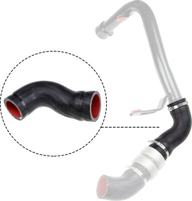 FURTUN EAR SUPRAALIMENTARE