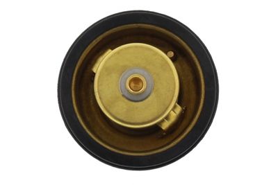 TERMOSTAT LICHID RACIRE MAPCO 28900 2