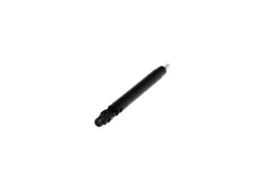 INJECTOR REMANTE 002003000175R 34