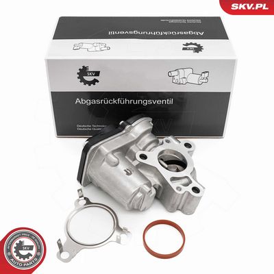 SUPAPA EGR ESEN SKV 14SKV276 6