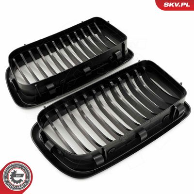 GRILA RADIATOR ESEN SKV 66SKV213 4