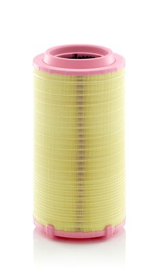 Air Filter C 27 038