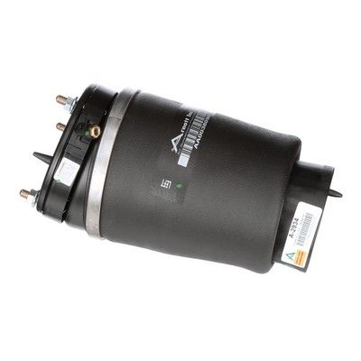 LUFTFEDER FAHRWERK Arnott A2934 53