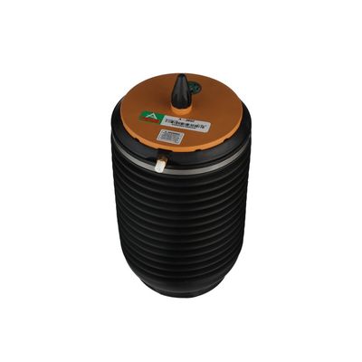 LUFTFEDER FAHRWERK Arnott A3892 53