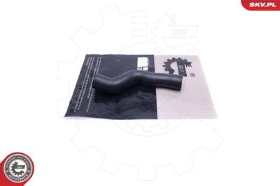 FURTUN EAR SUPRAALIMENTARE