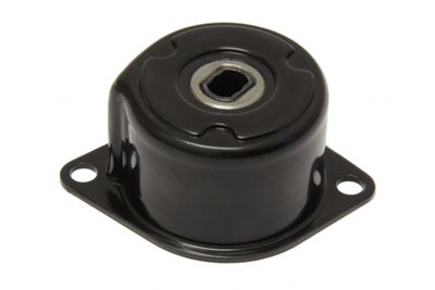 INTINZATOR CUREA CUREA DISTRIBUTIE