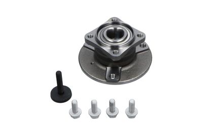 Kavo Parts Rato guolio komplektas