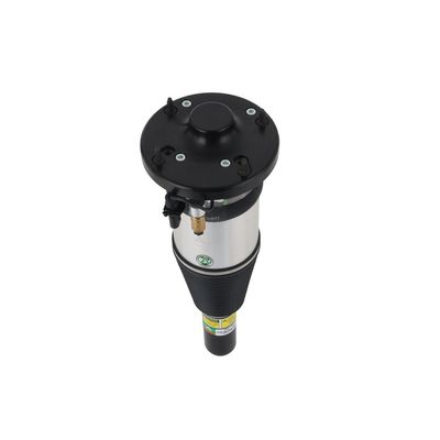 LUFTFEDERBEIN Arnott ASE3631 54