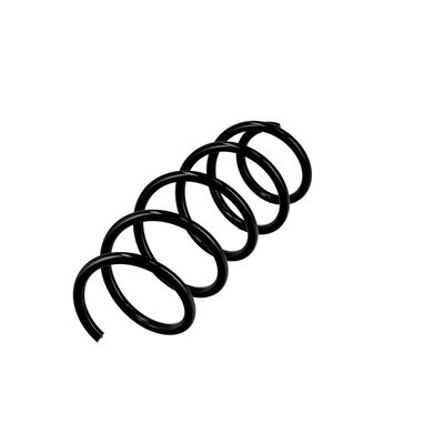ARC SPIRAL EIBACH R10111 3