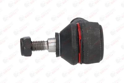 CAP DE BARA BIRTH RD1054 4