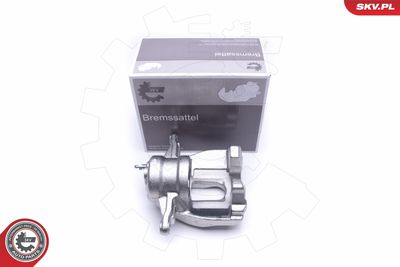 Brake Caliper 50SKV532