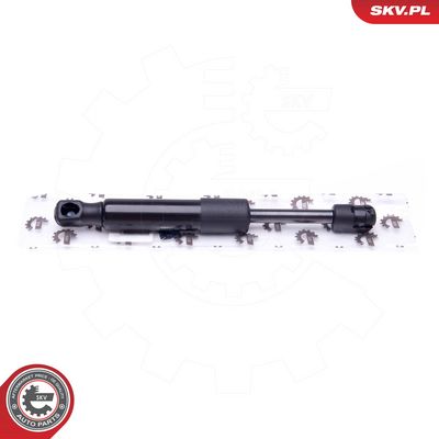 Dujinė spyruoklė, bagažinė