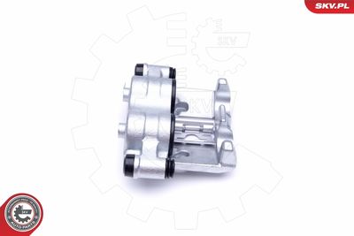 Brake Caliper 45SKV523