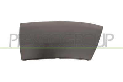 ELEMENTE DECORATIVE/PROTECTIE ARIPA