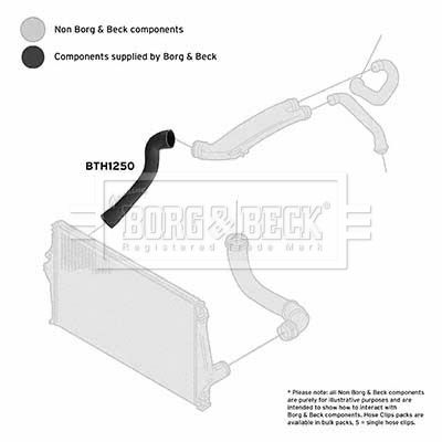 Charge Air Hose Borg & Beck BTH1250