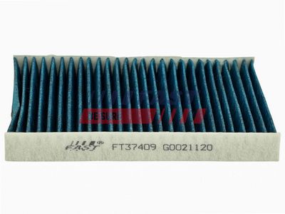 FILTRU AER HABITACLU