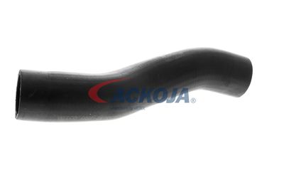 FURTUN EAR SUPRAALIMENTARE ACKOJA A529600 56