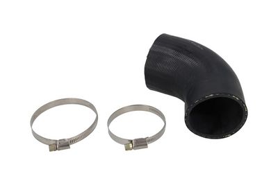 FURTUN EAR SUPRAALIMENTARE