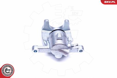 Brake Caliper 44SKV131