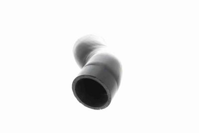 FURTUN EAR SUPRAALIMENTARE ACKOJA A529602 4