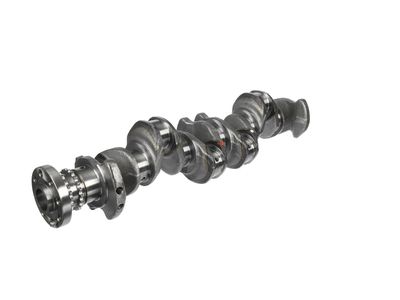 ARBORE COTIT ET ENGINETEAM HK0211 15